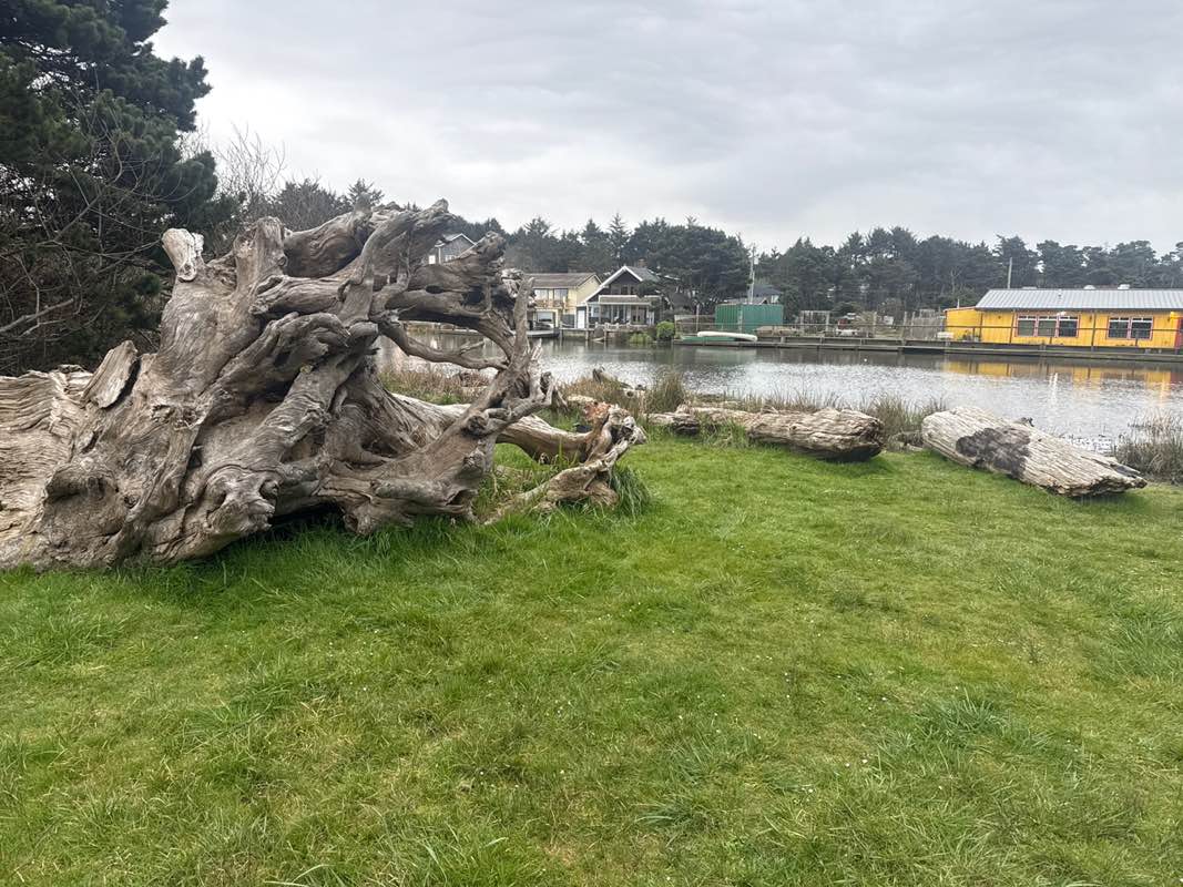 walking near me in Hostetler Park in spring