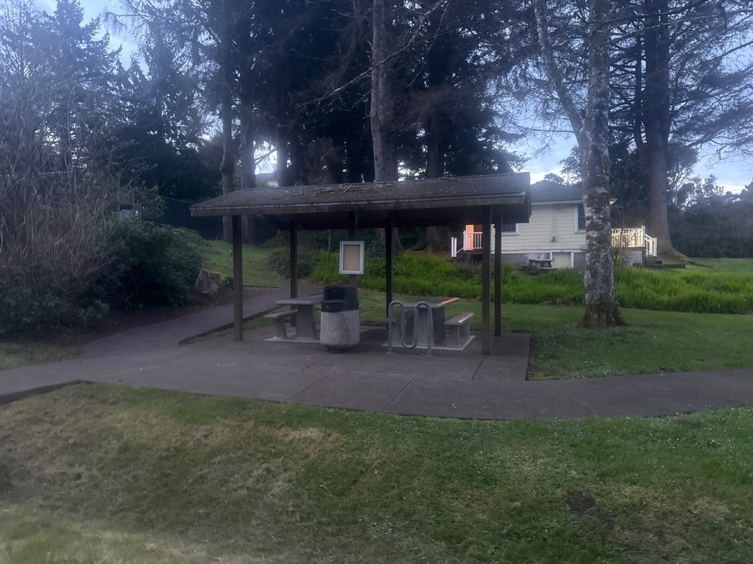 walking near me in Dorchester Park in spring