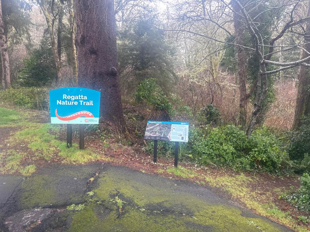 walking near me in Regatta Park in spring