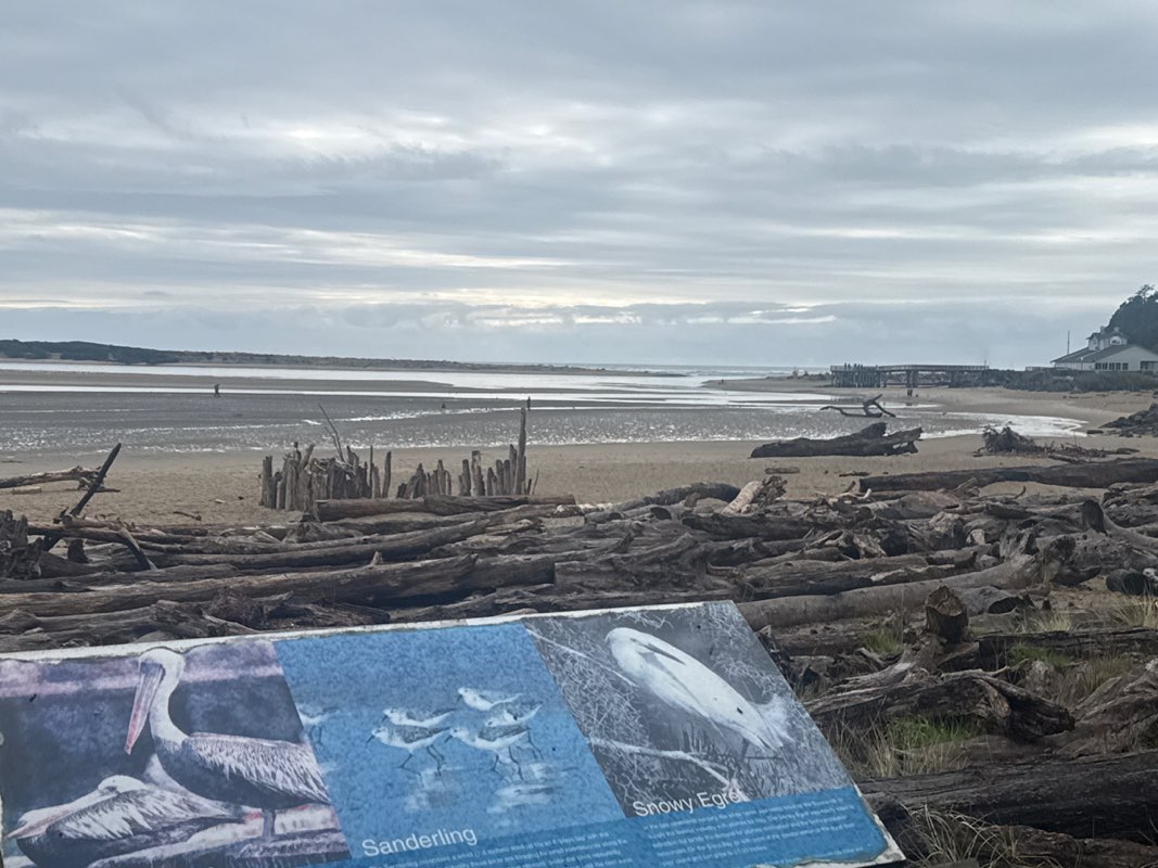 walking near me in Siletz Bay Park in spring