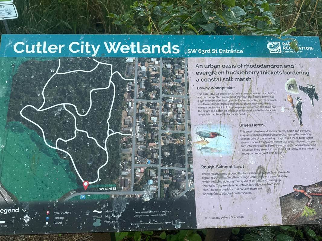 walking near me in Cutler Wetlands Open Space in spring