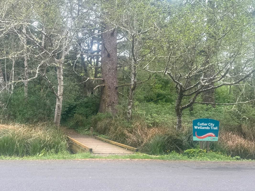 walking near me in Cutler Wetlands Open Space in spring