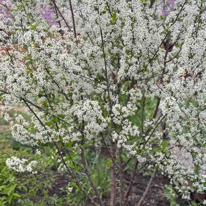 We can do it! Radik post image