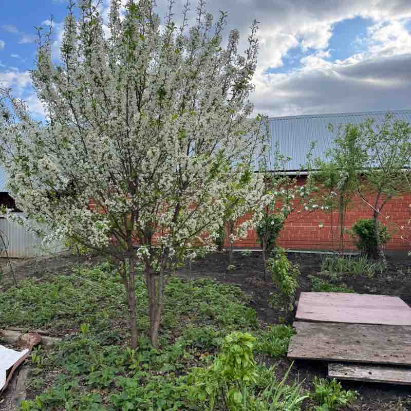 We can do it! Radik post image