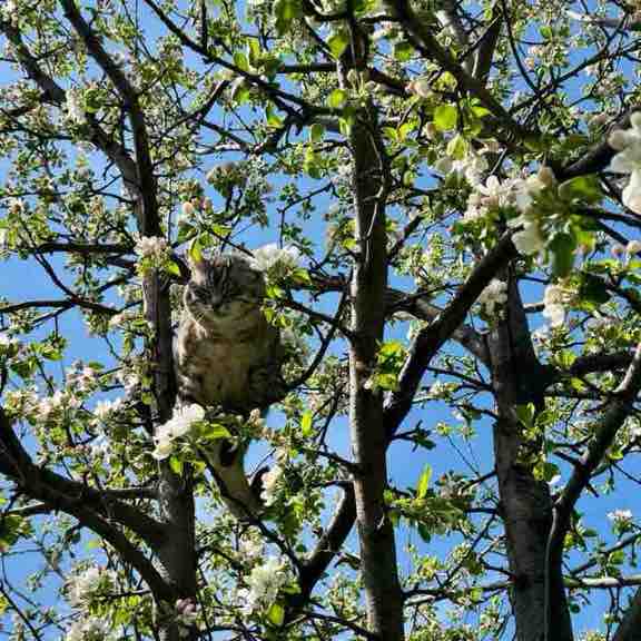 We can do it! Radik post image