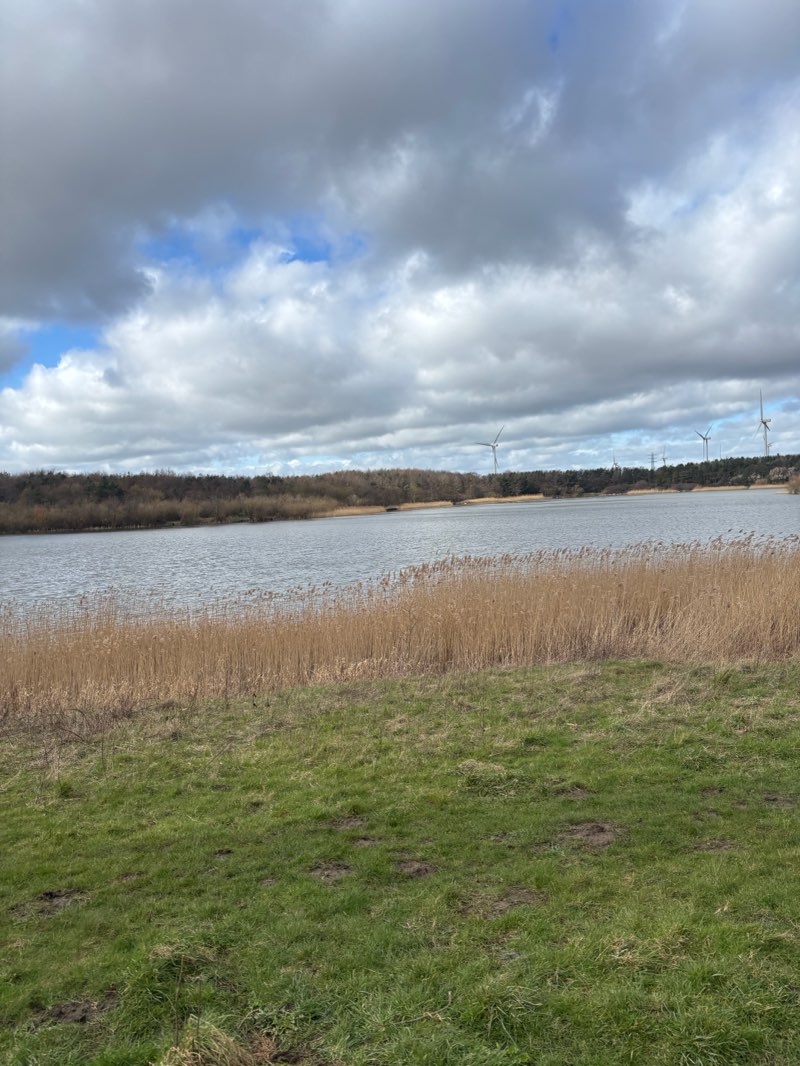 walking near me in Queen Elizabeth II Country Park in spring