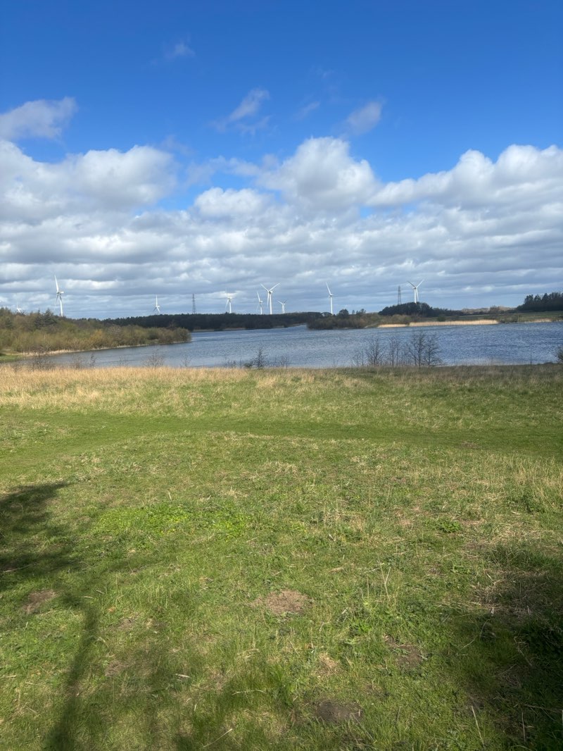 walking near me in Queen Elizabeth II Country Park in spring