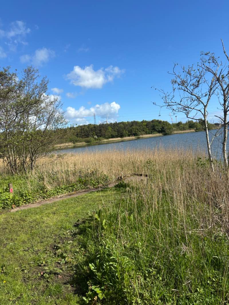 walking near me in Queen Elizabeth II Country Park in spring