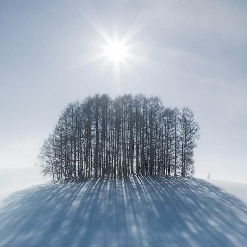 Que du Bonheur Daniel post image