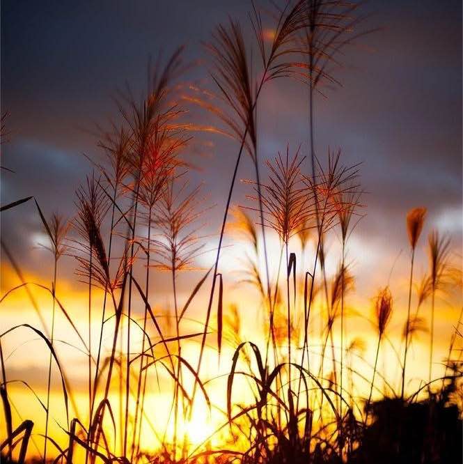 Que du Bonheur Daniel post image