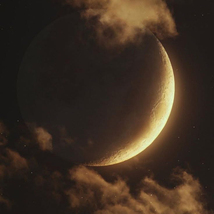 Que du Bonheur Daniel post image