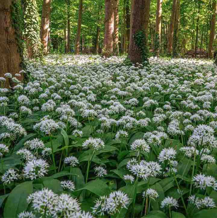 Que du Bonheur Daniel post image