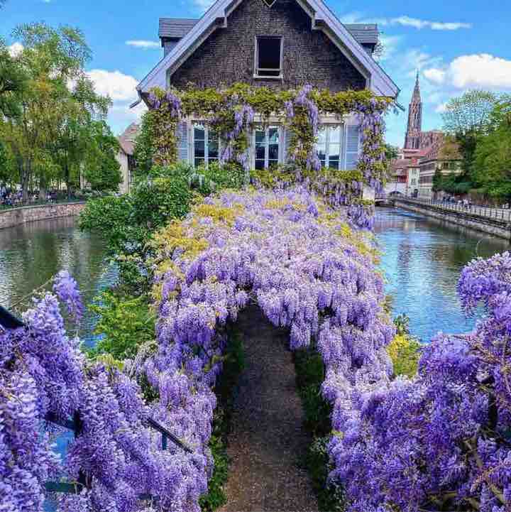 Que du Bonheur Que du Bonheur post image