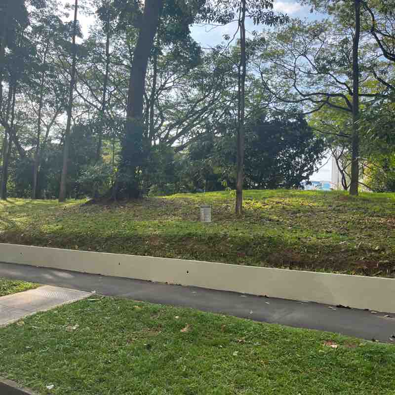 🍀𝔍𝔬𝔴𝔢𝔢🍀 post 1