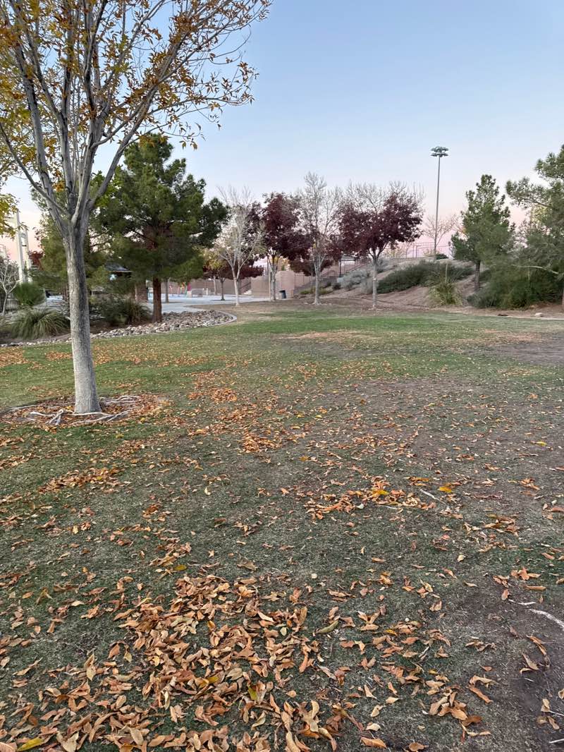walking near me in Madeira Canyon Park in winter