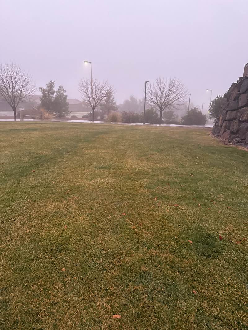 walking near me in Madeira Canyon Park in winter