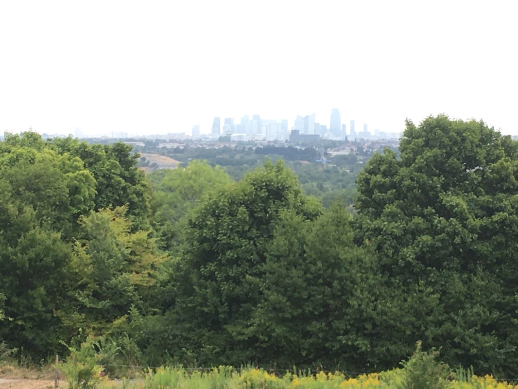 walking near me in Jardins du Domaine de Saint-Germain-en-Laye in winter