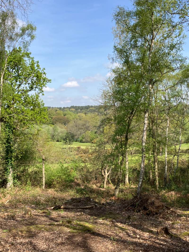 walking near me in Ottershaw Memorial Fields in winter