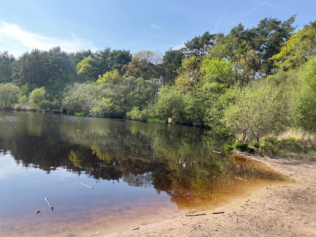 walking near me in McLaren Park in winter