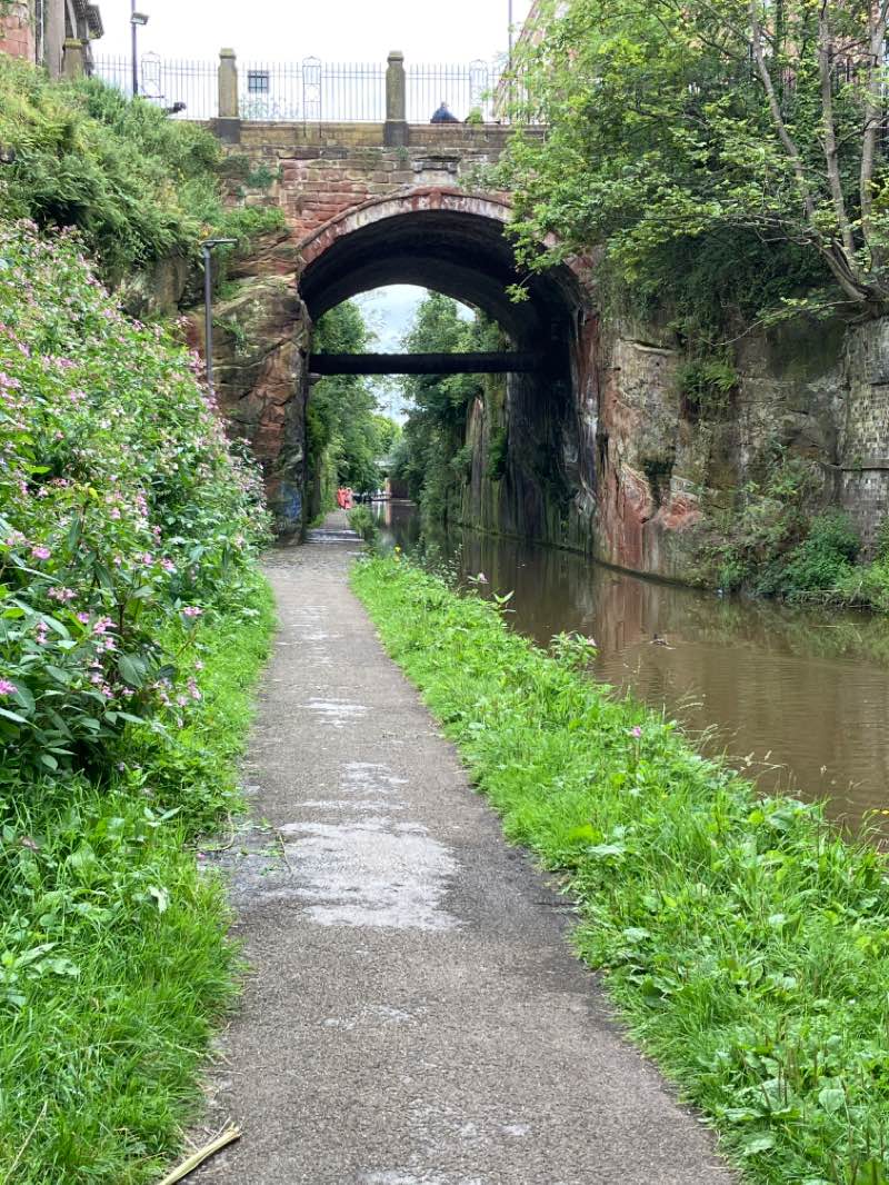 walking near me in Edgar's Field Park in winter
