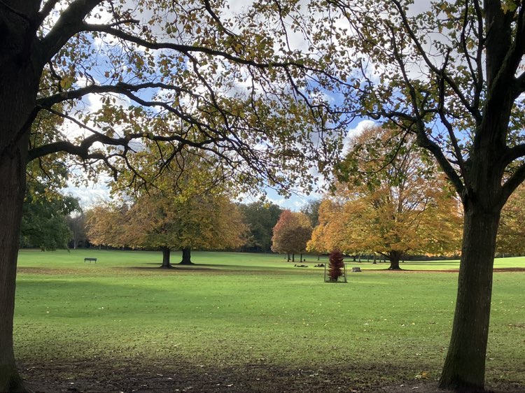 walking near me in Cheam Park in autumn