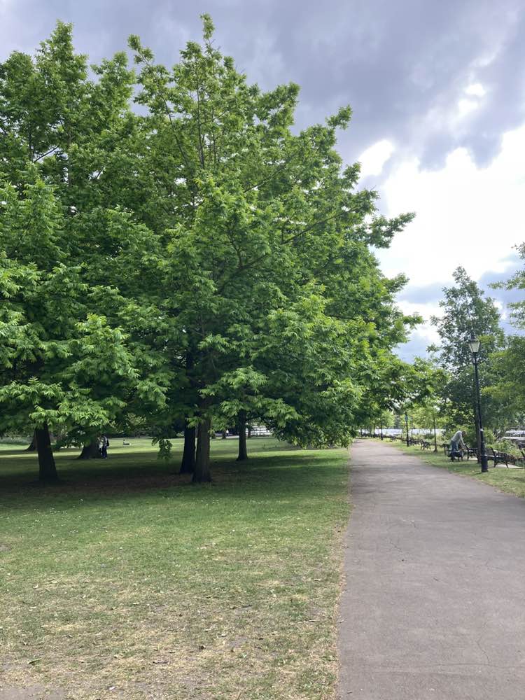 walking near me in Canbury Gardens in spring