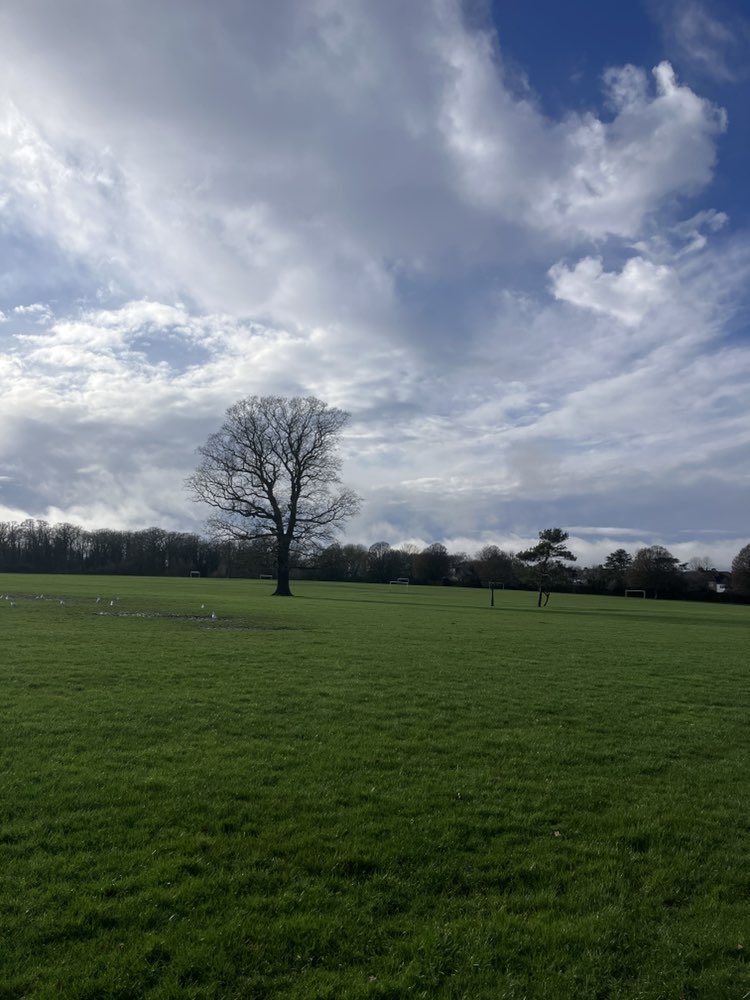 walking near me in Cheam Recreation Ground in winter