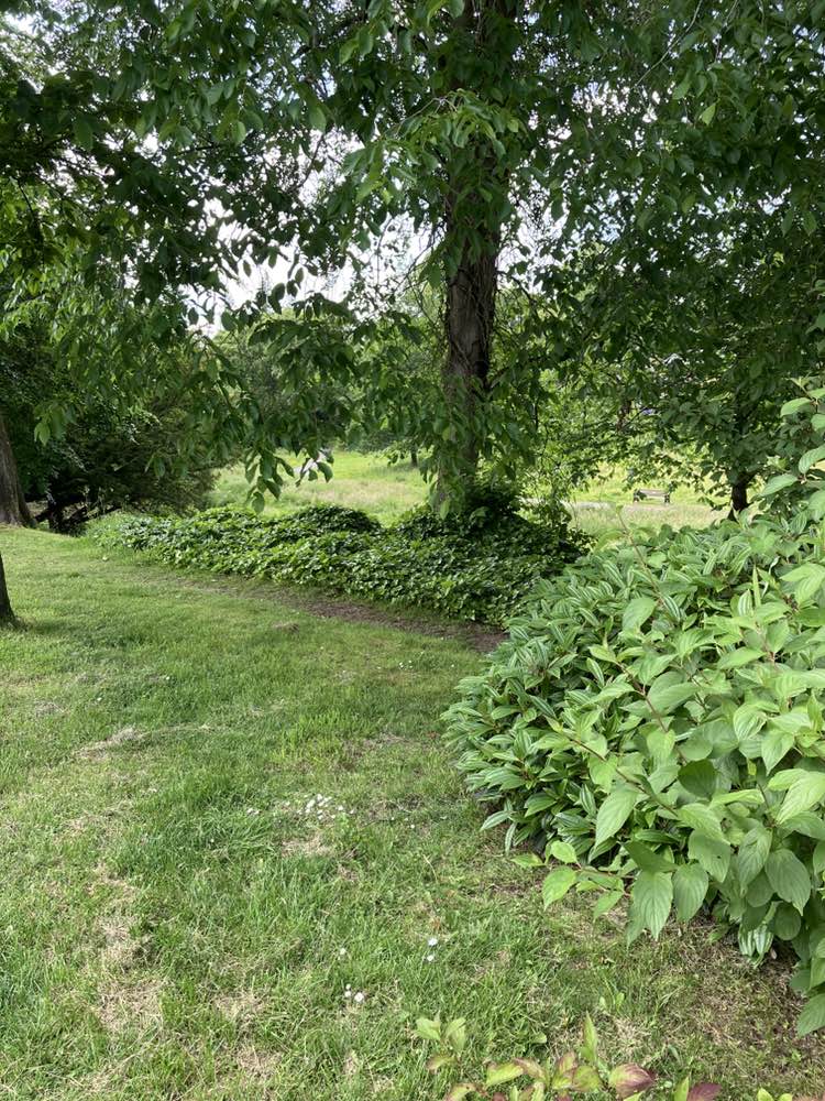 walking near me in Serpentine Park in summer