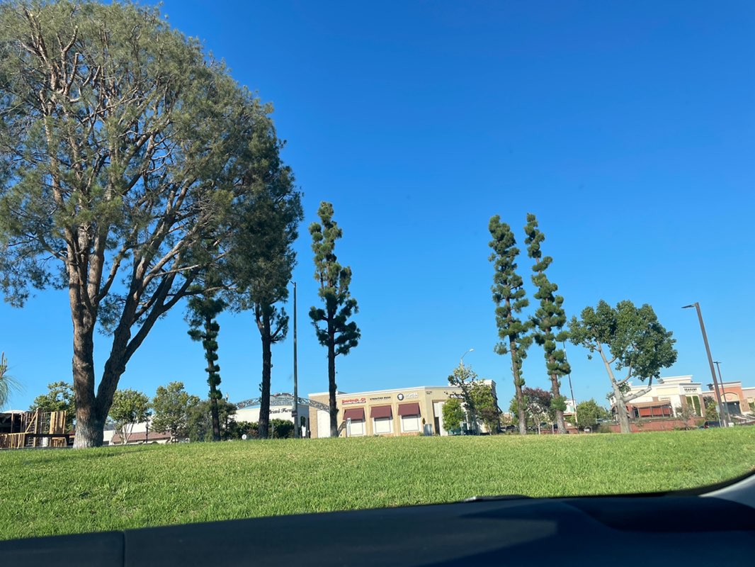 walking near me in R M Nixon Park in summer
