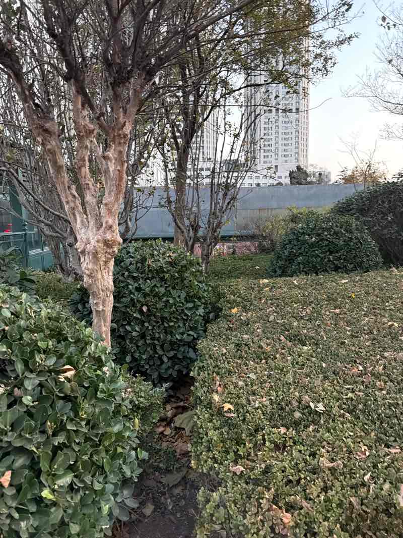 walking near me in May Fourth Square in winter