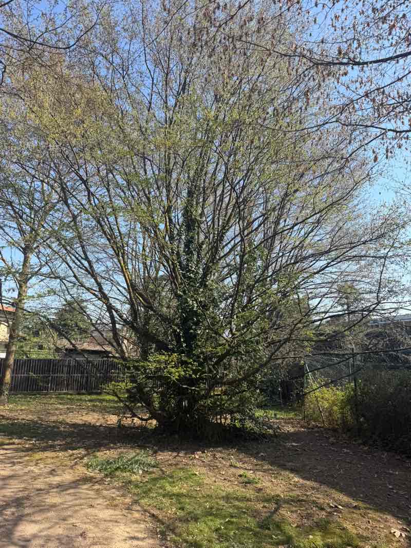 walking near me in Parco delle Ortaglie in spring