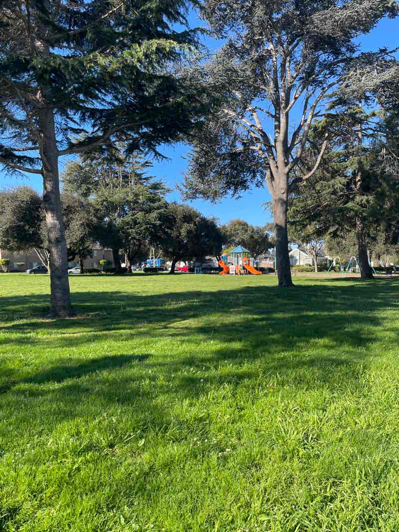walking near me in Mission Park in spring