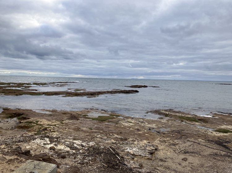 walking near me in Ricketts Point Marine Sanctuary in autumn
