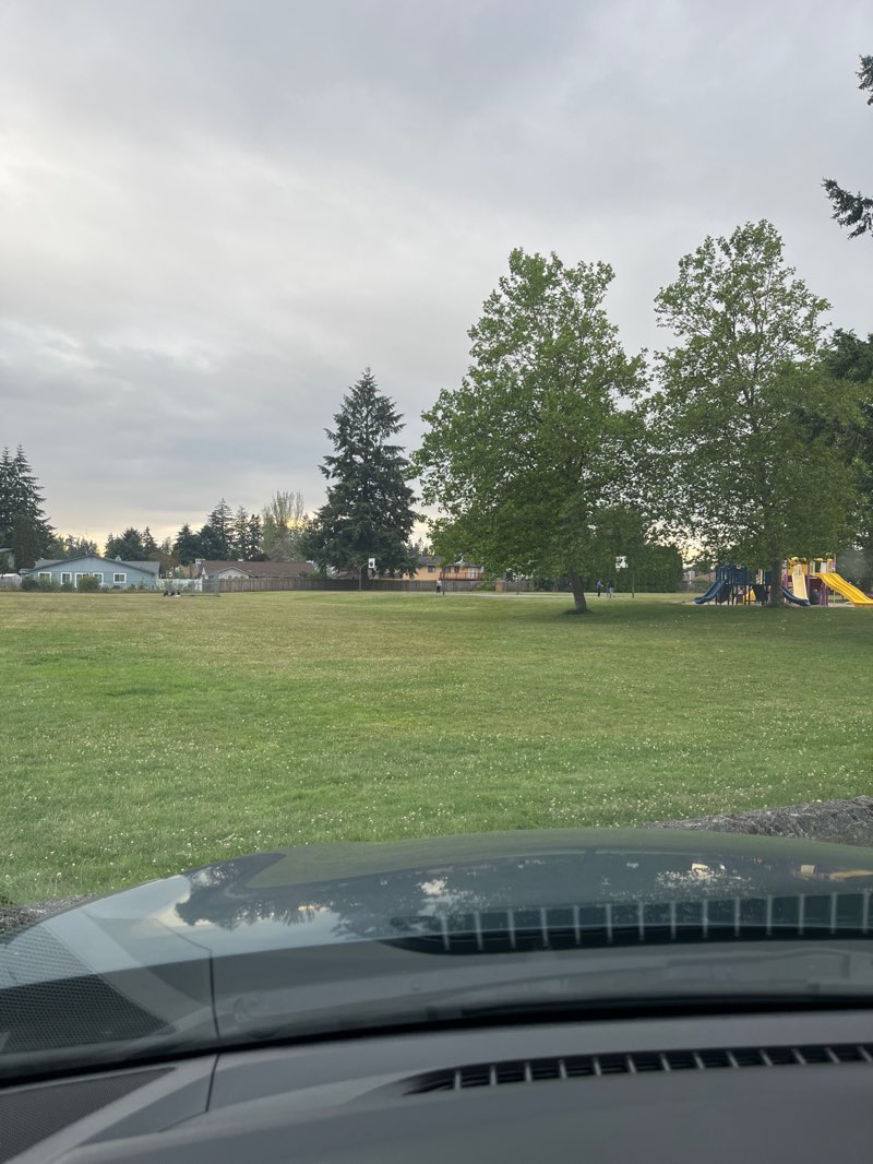 walking near me in Gonyea Play Field in summer