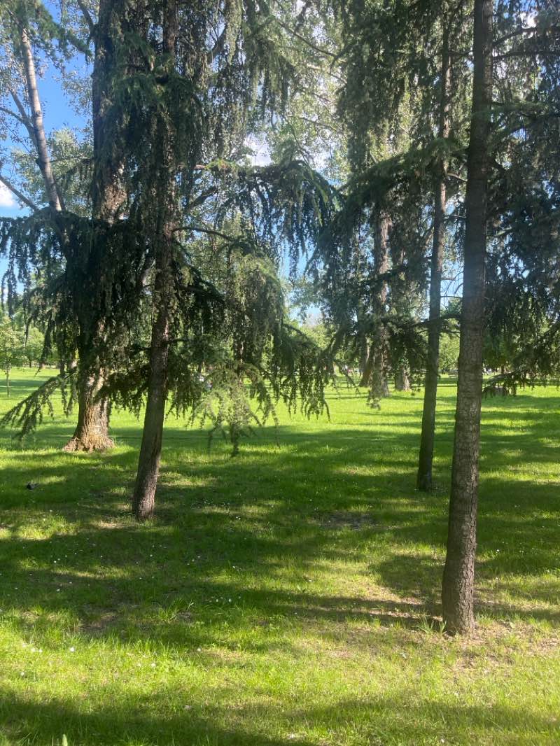 walking near me in Лимански парк in spring