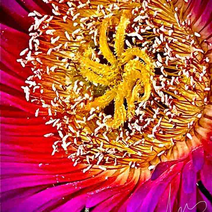 jorgelarosa65🇦🇷 post 1