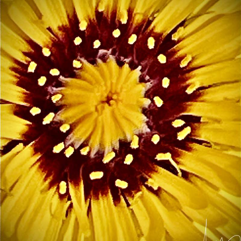 jorgelarosa65🇦🇷 post 1