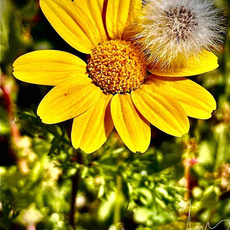 jorgelarosa65🇦🇷 post 1