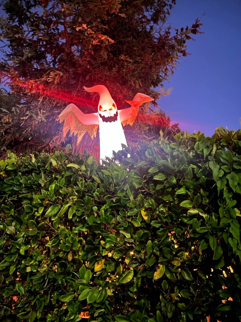 walking near me in Aptos Village Park in autumn