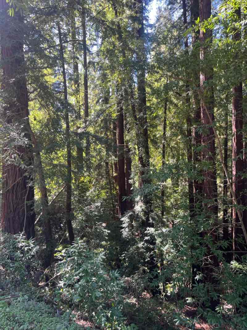 walking near me in Santa Vida RV Park in winter