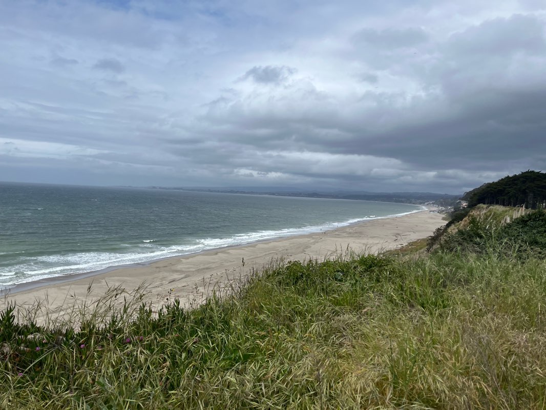 walking near me in Trestle at Hidden Beach in spring