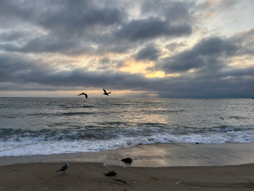 walking near me in Veteran's Park in spring