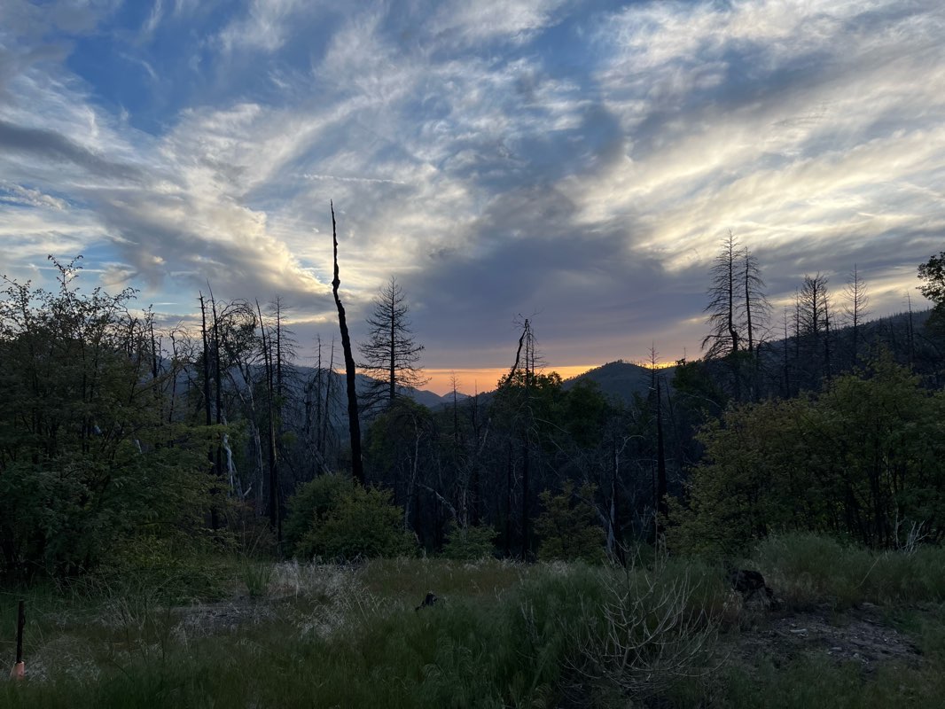walking near me in Giant Sequoia National Monument in spring