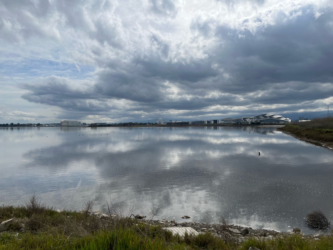 walking near me in Stevens Creek Shoreline Nature Study Area Open Space Preserve in winter