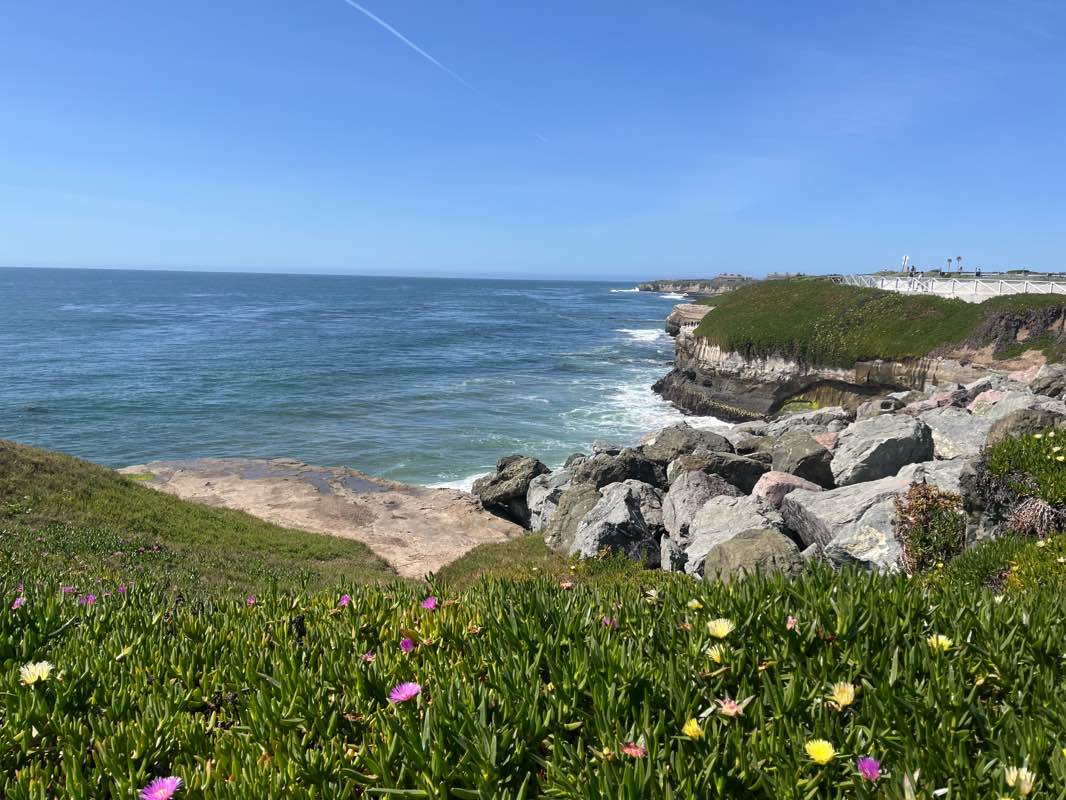walking near me in Cliff Drive Open Space in spring