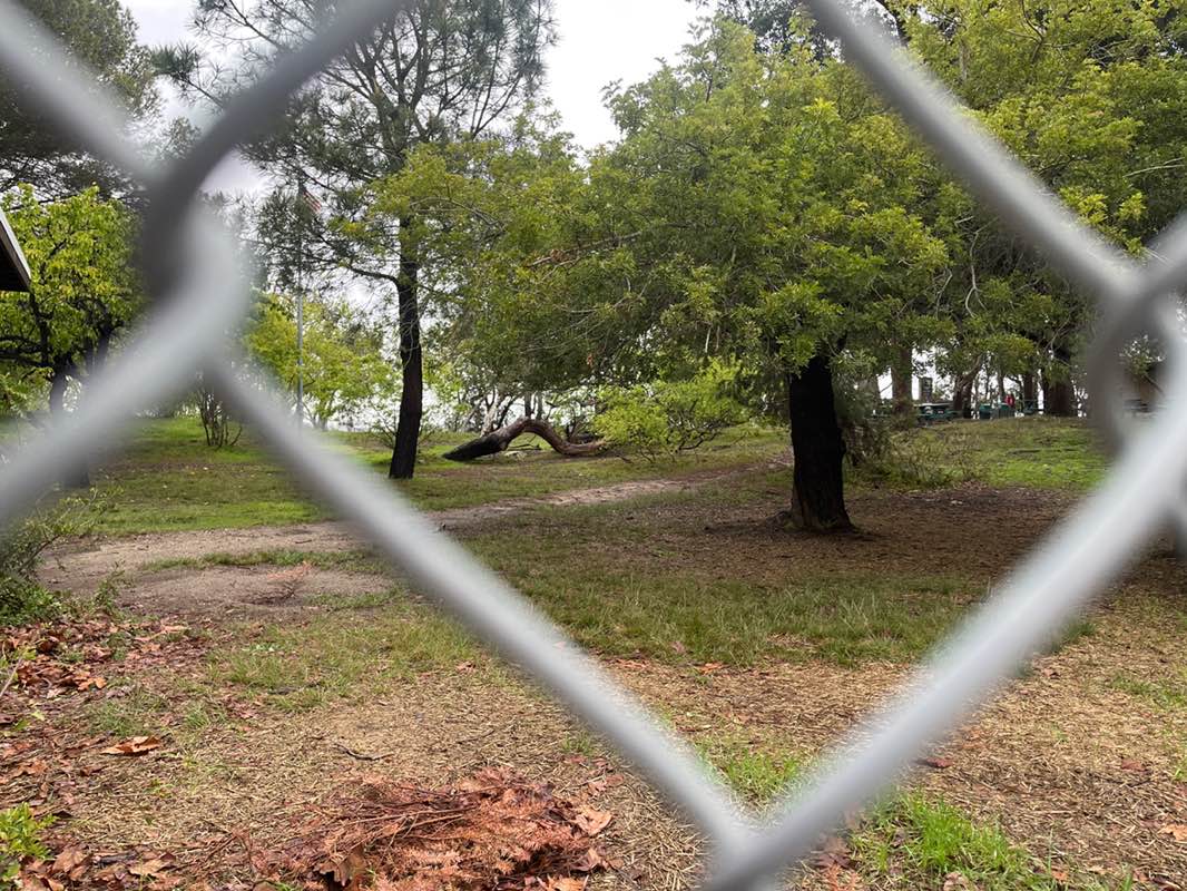 walking near me in F E Hopkins Wilderness Park in spring