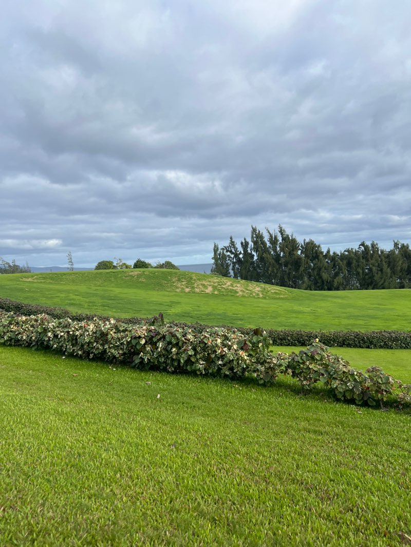 walking near me in Napili Park in winter