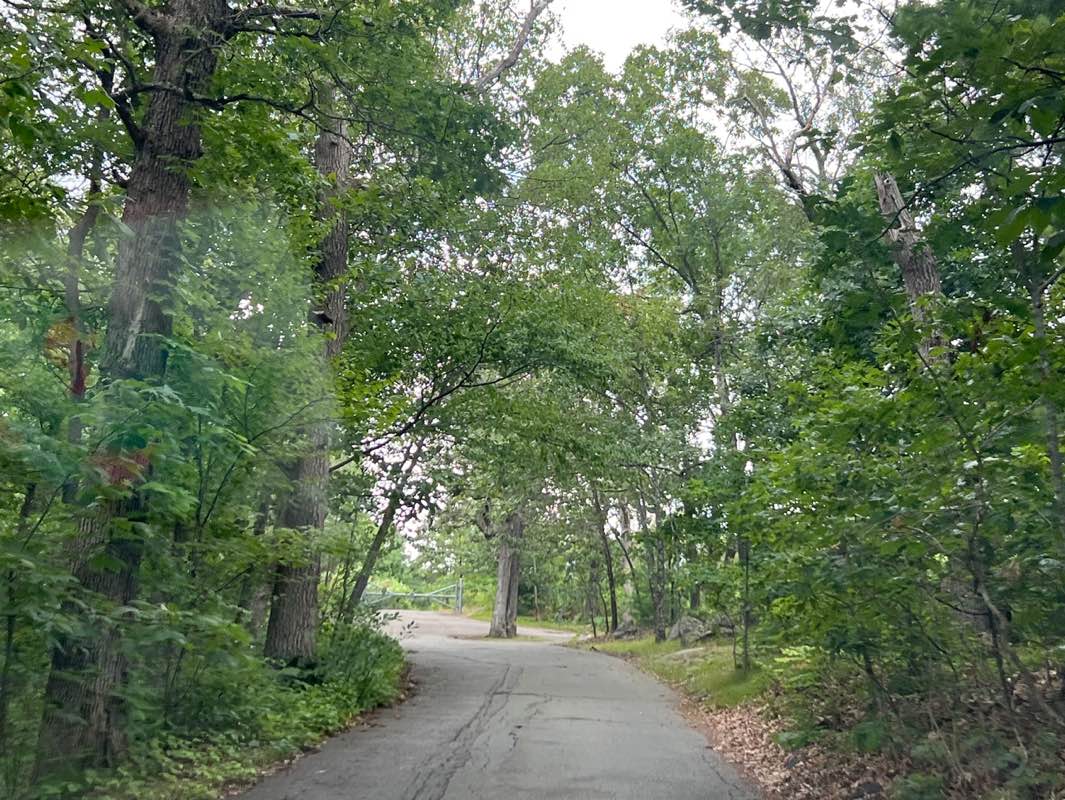 walking near me in Prospect Hill Park in autumn