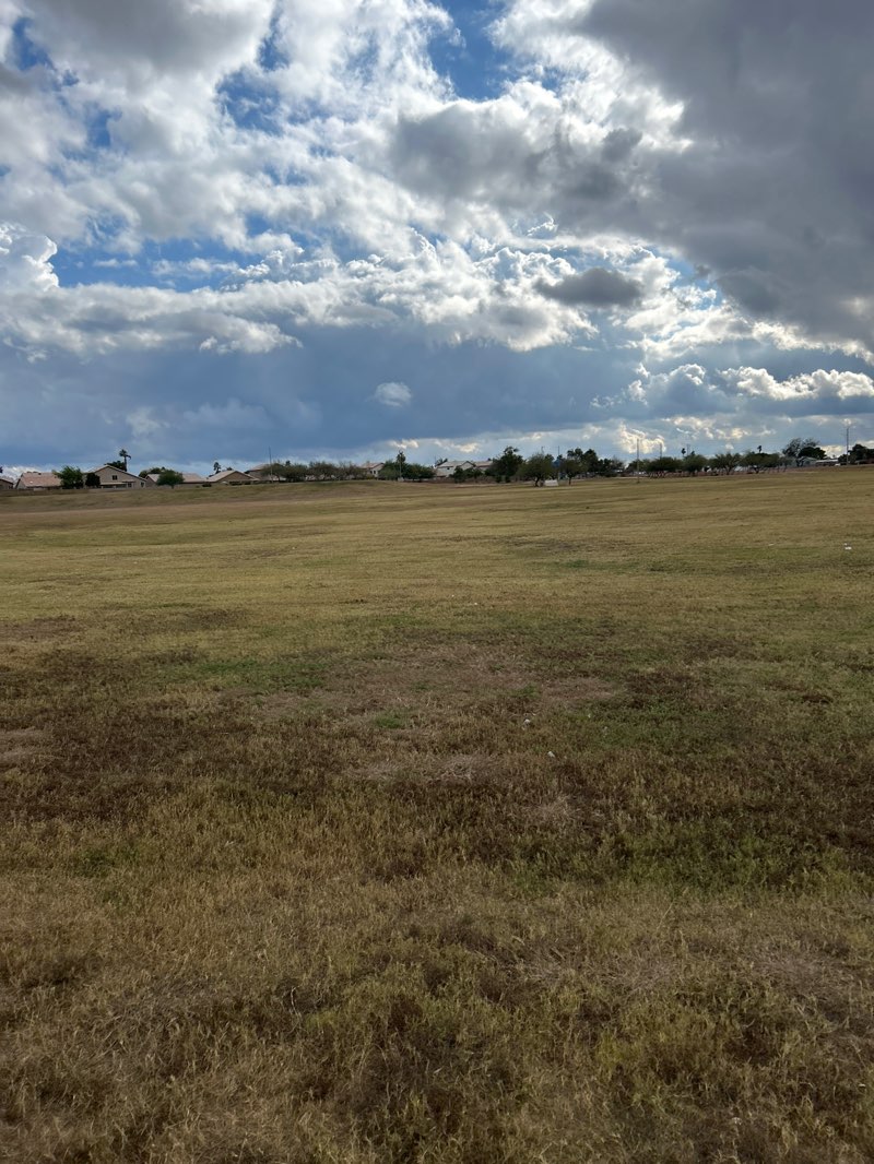 walking near me in Coyote Basin Park in winter