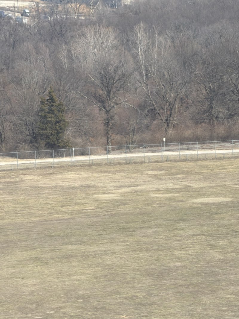 walking near me in O'Connor Park in winter